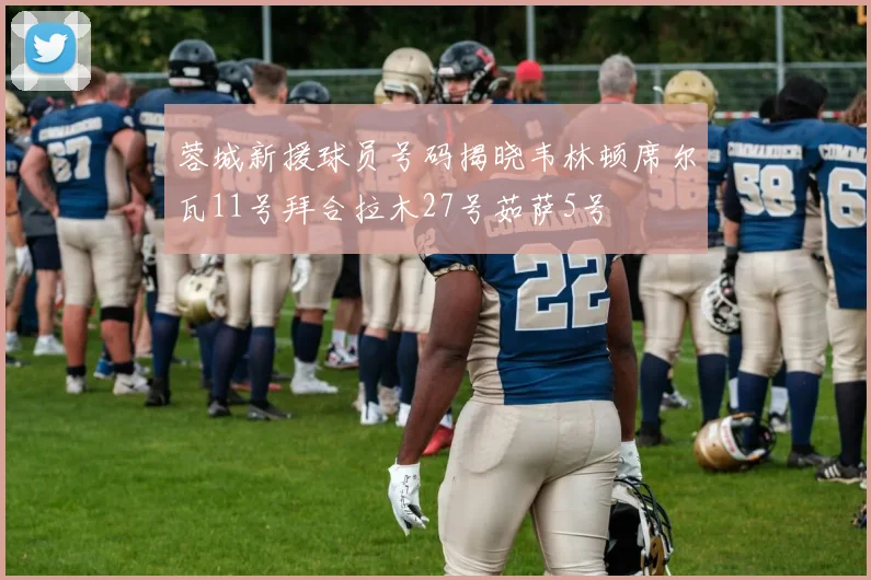 蓉城新援球员号码揭晓韦林顿席尔瓦11号拜合拉木27号茹萨5号