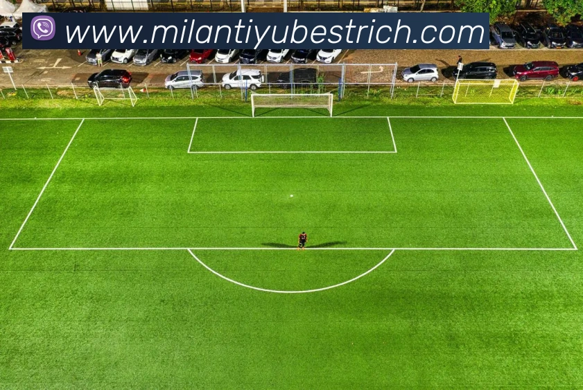 App Interface Preview