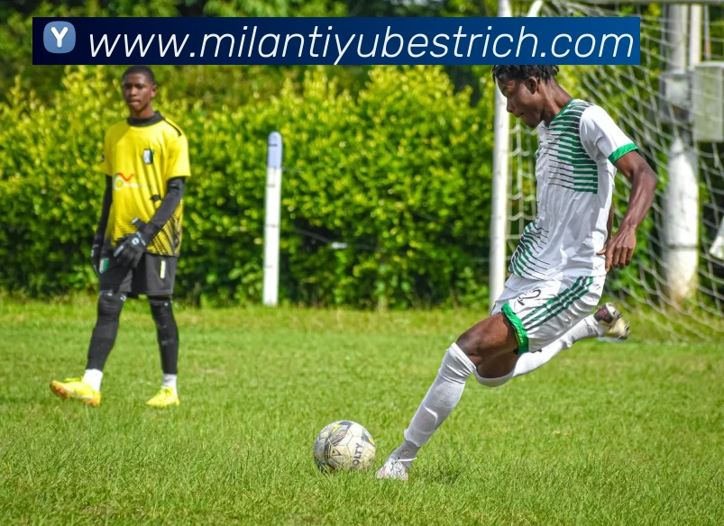 米兰体育APP 封面图